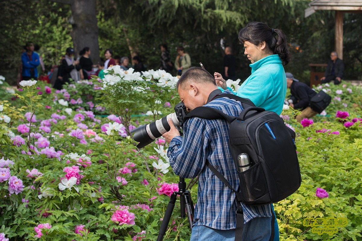 #佳能迷你单反EOS 200D-轻装绘青#踏青寻花