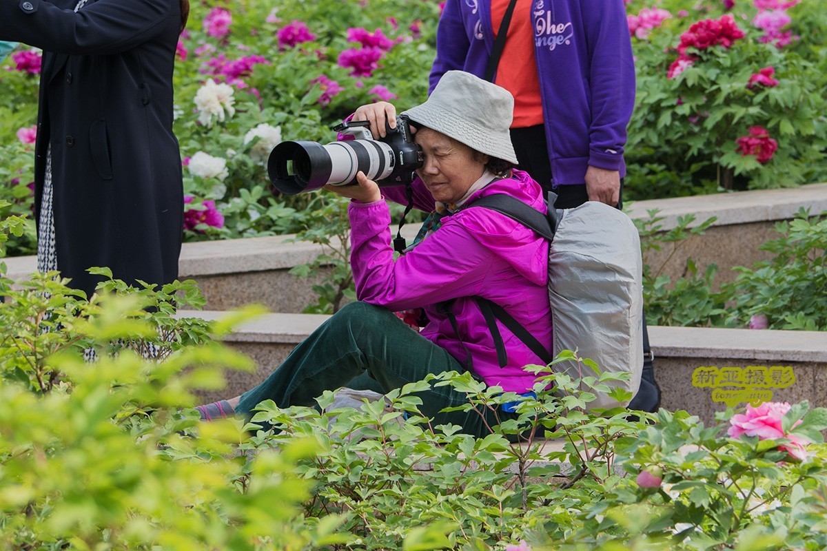 #佳能迷你单反EOS 200D-轻装绘青#踏青寻花