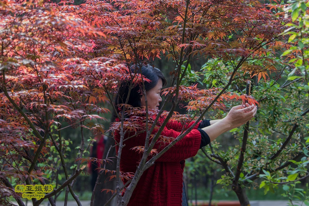 #佳能迷你单反EOS 200D-轻装绘青#踏青寻花