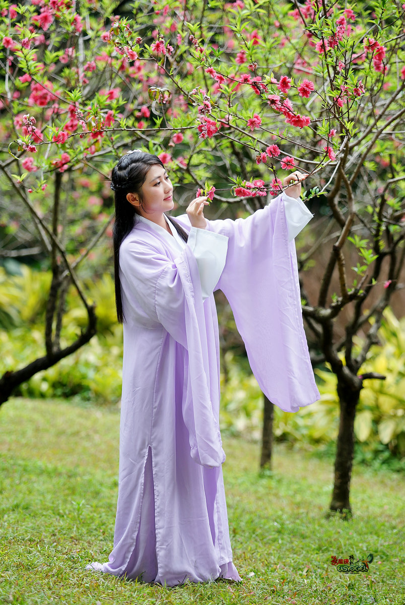 兰圃桃花下之古装淑女火凤凰