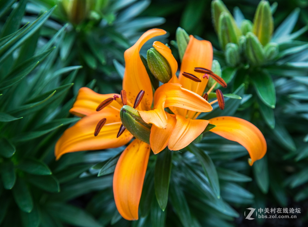 “五一”小长假第一天的牛角大圩 （合肥）