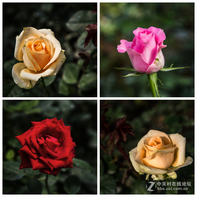 “五一”小长假第一天的牛角大圩 （合肥）