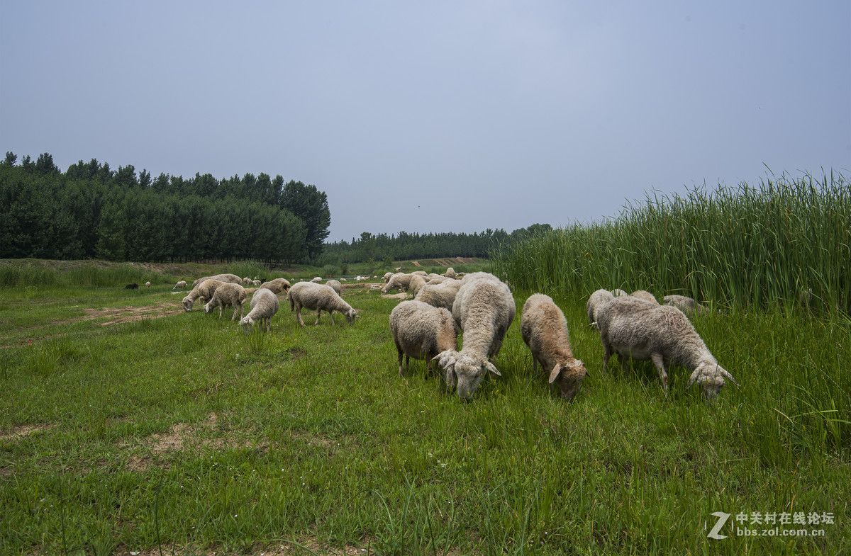 又是一个小山头