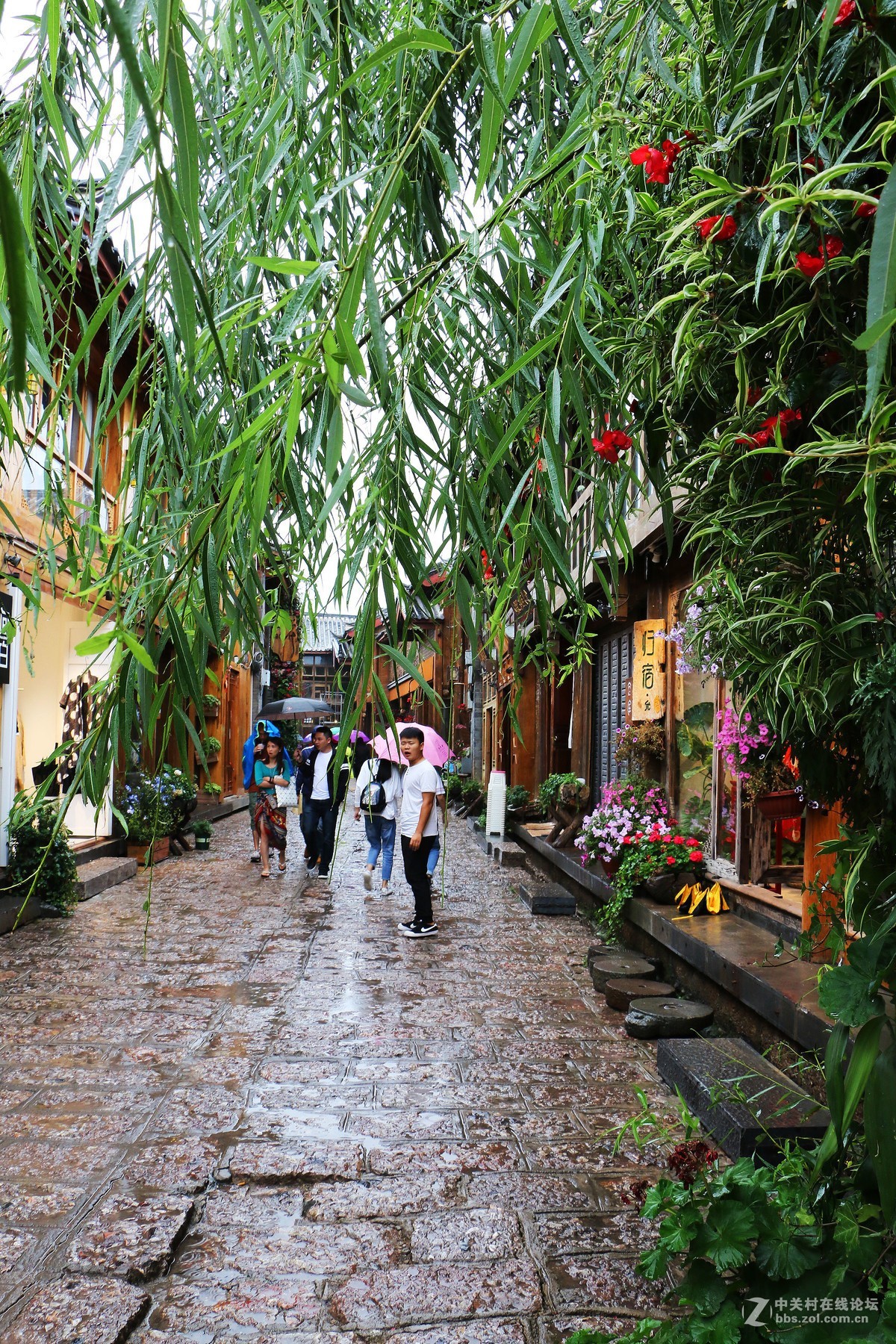 20170811雨天的丽江古城拉市海别有一番新意