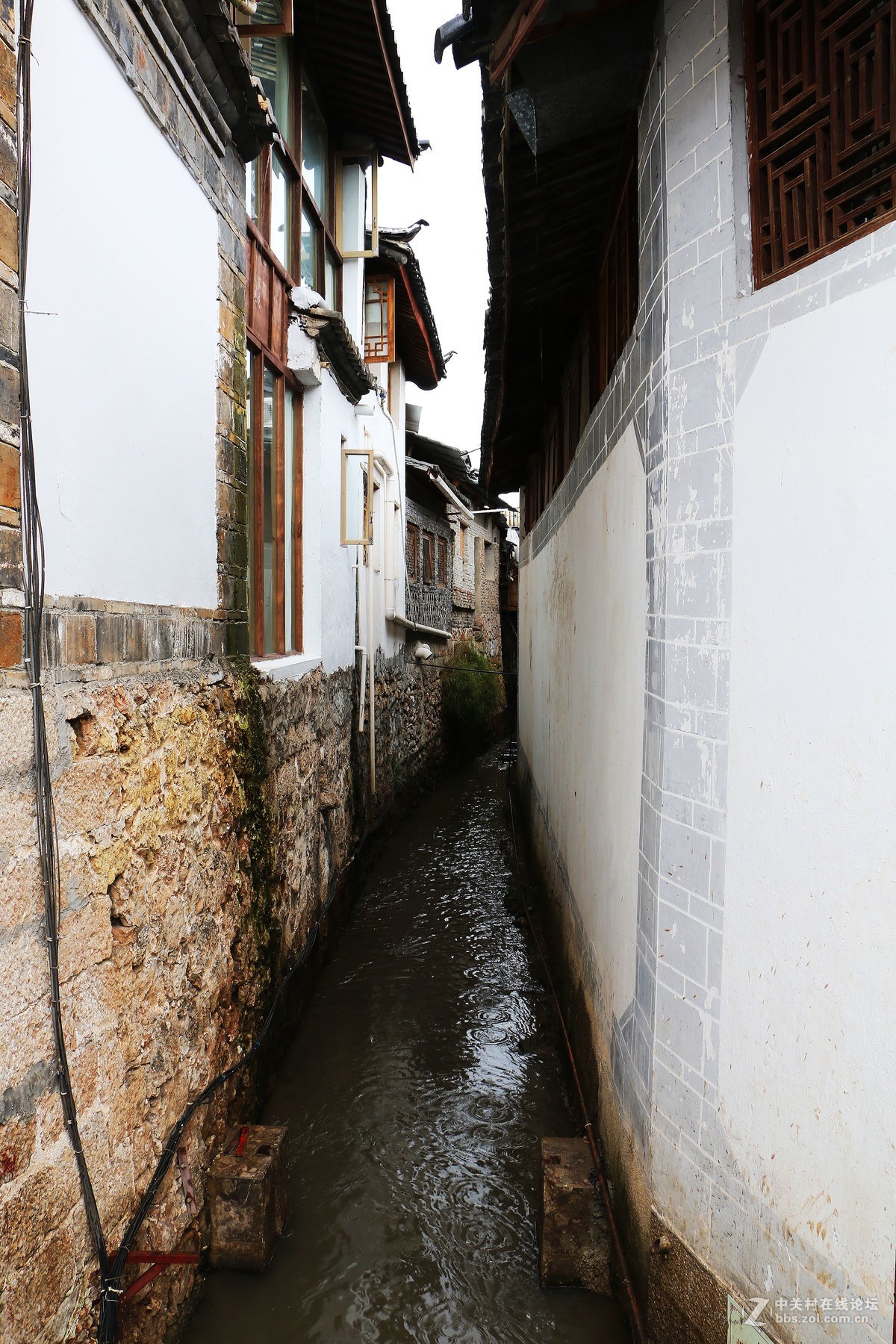20170811雨天的丽江古城拉市海别有一番新意
