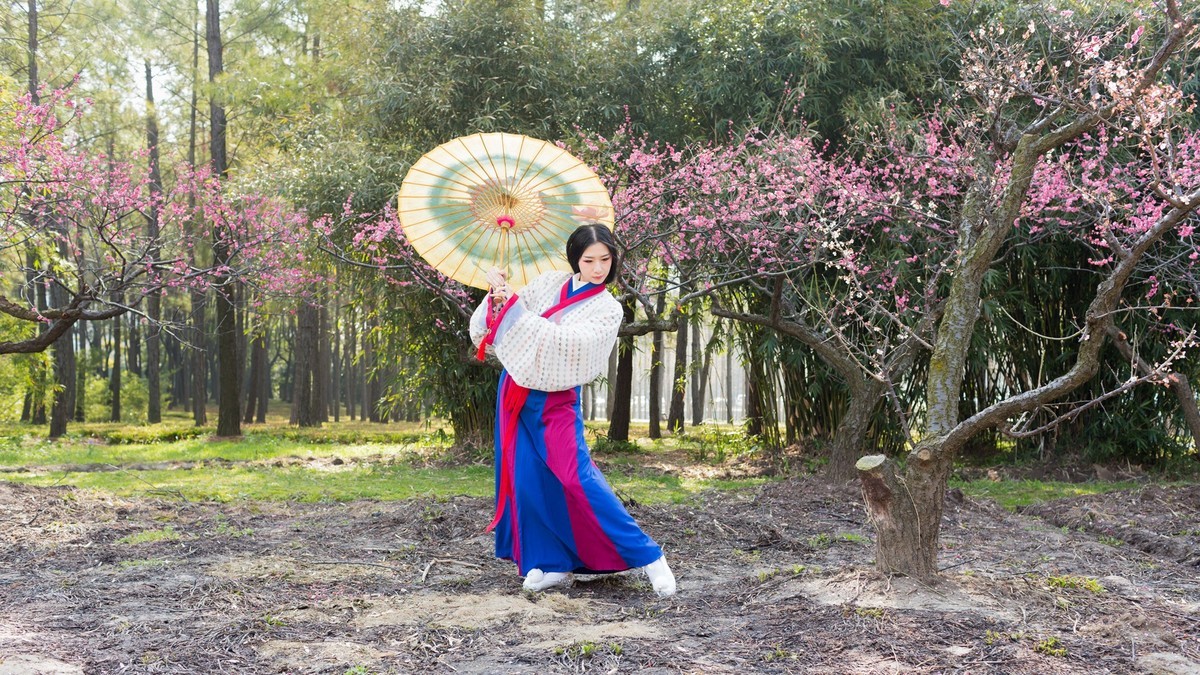 汉唐风   请指教