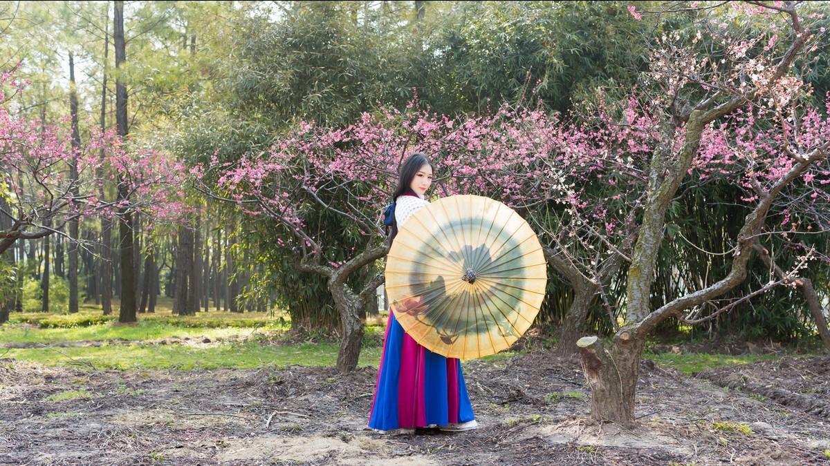 汉唐风   请指教