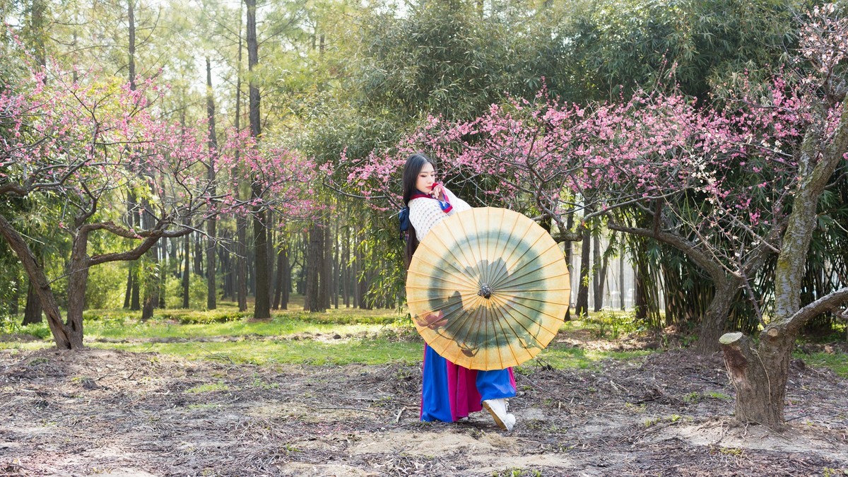 汉唐风   请指教