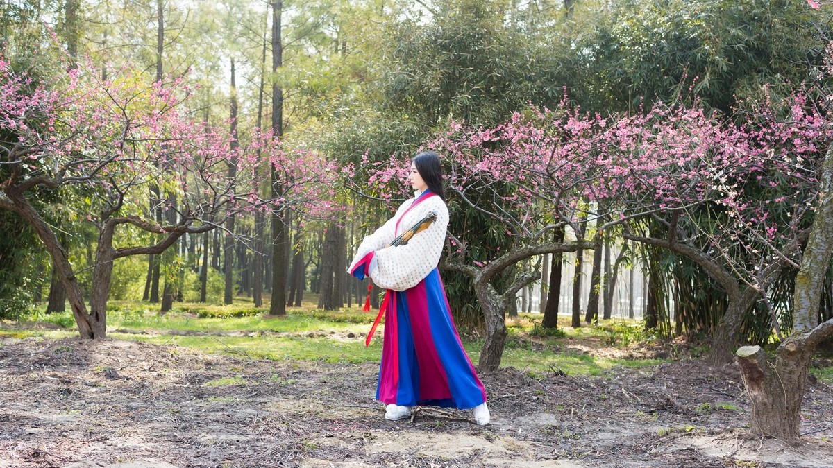 汉唐风   请指教