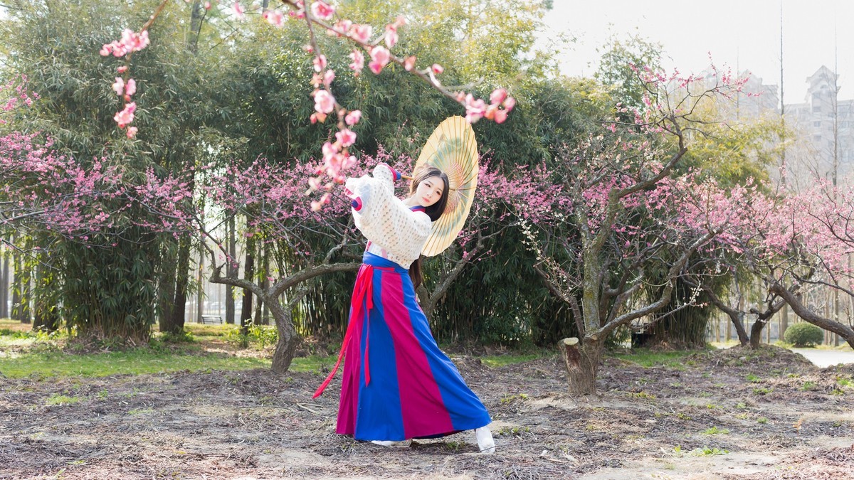 汉唐风   请指教