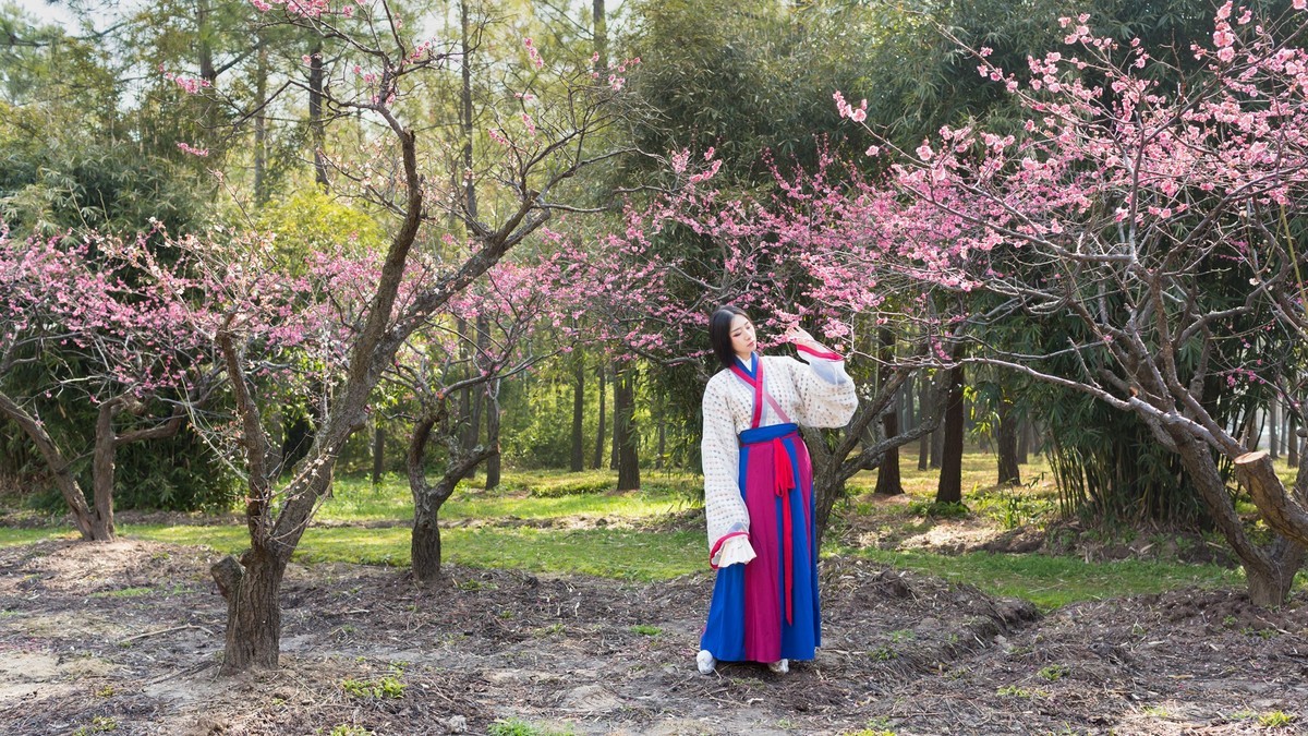 汉唐风   请指教