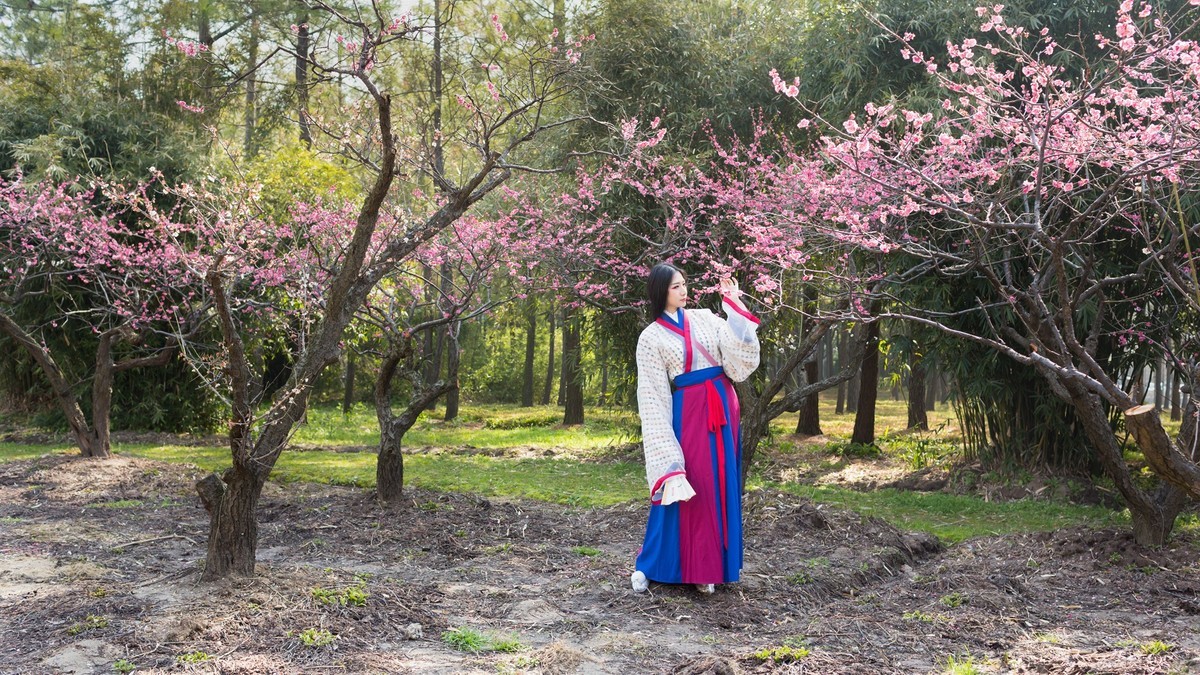 汉唐风   请指教