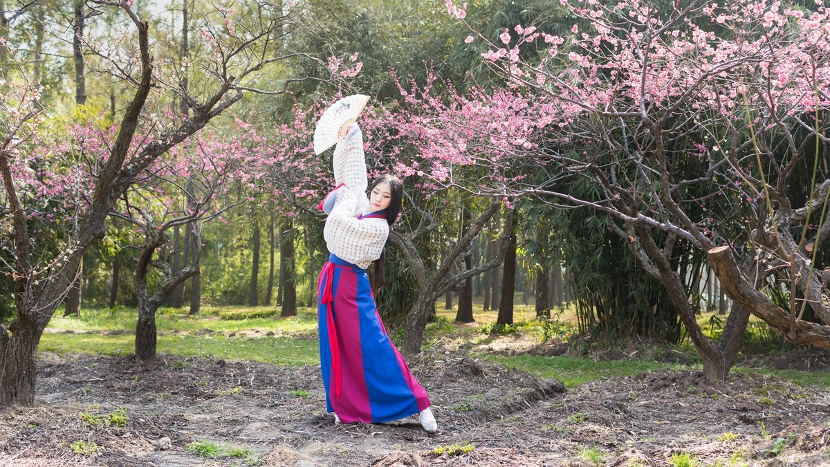 汉唐风   请指教