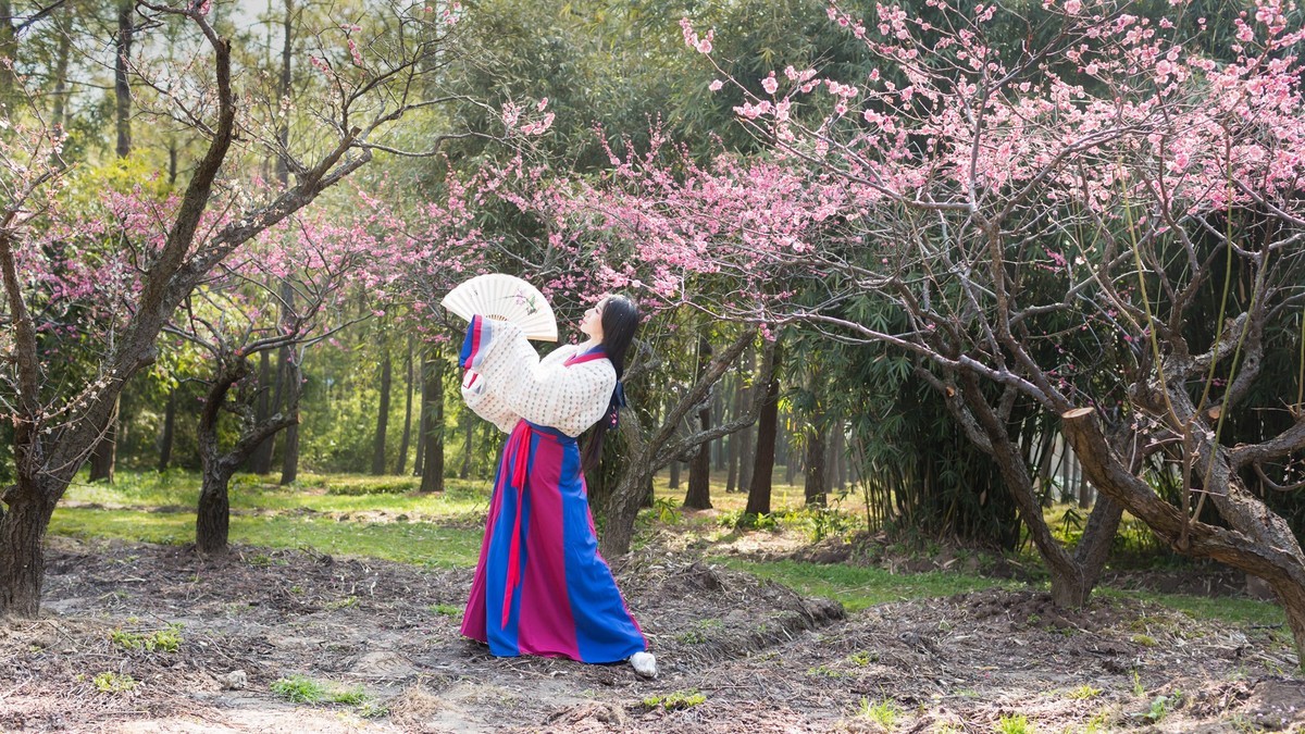 汉唐风   请指教