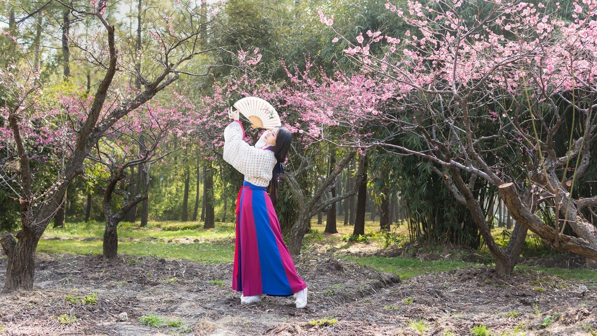 汉唐风   请指教