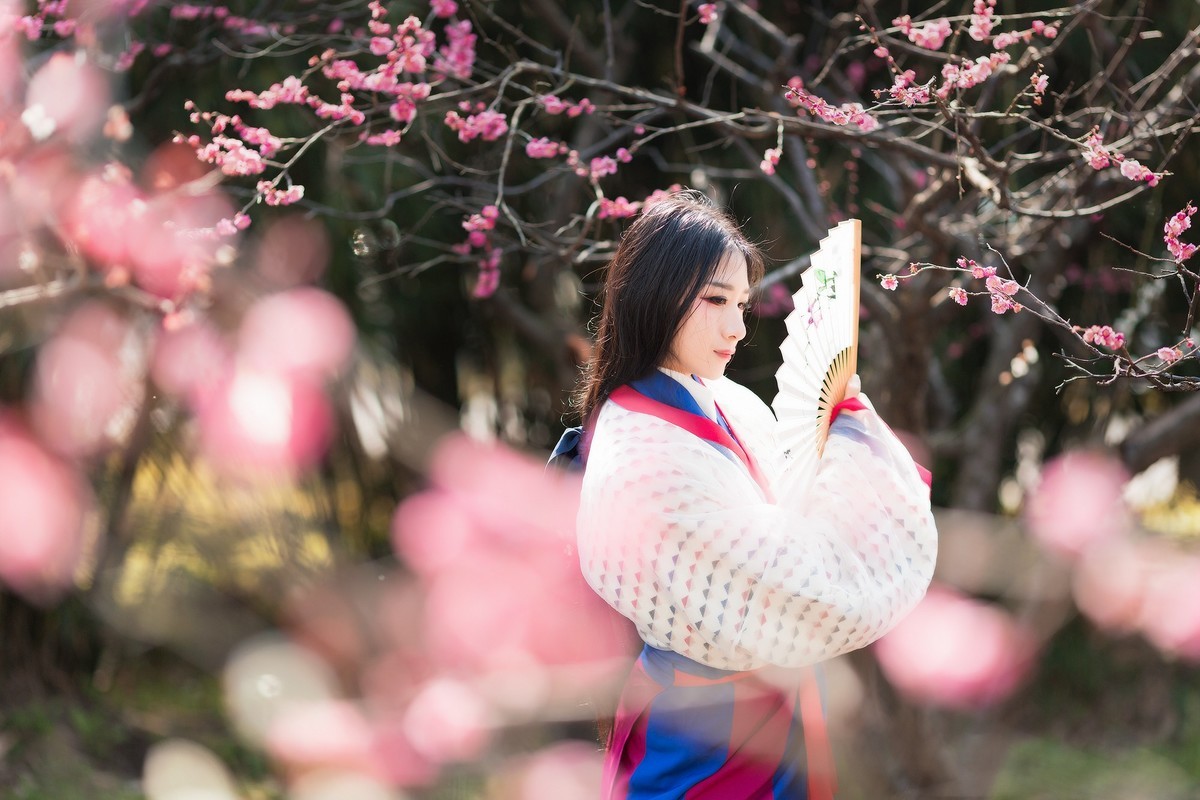 汉唐风   请指教