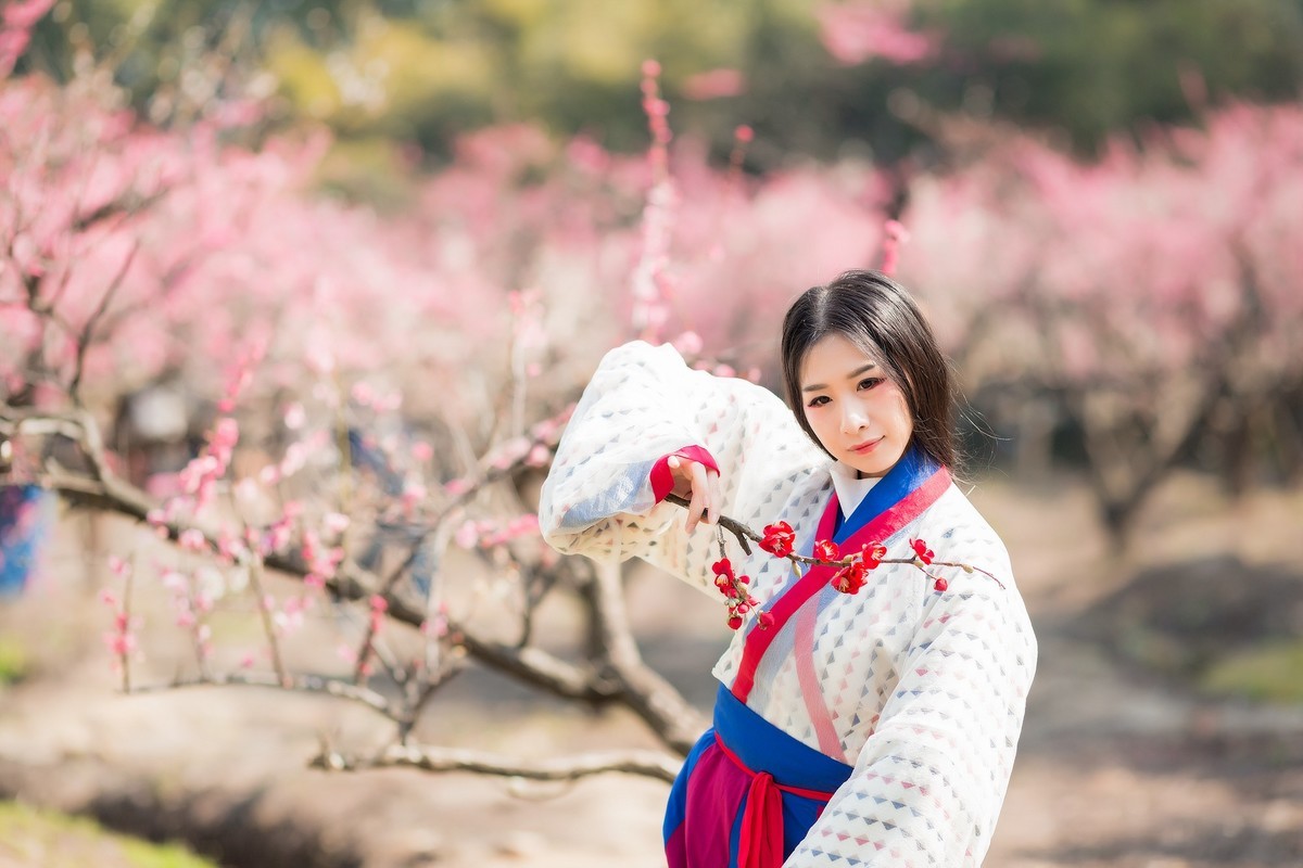 汉唐风   请指教