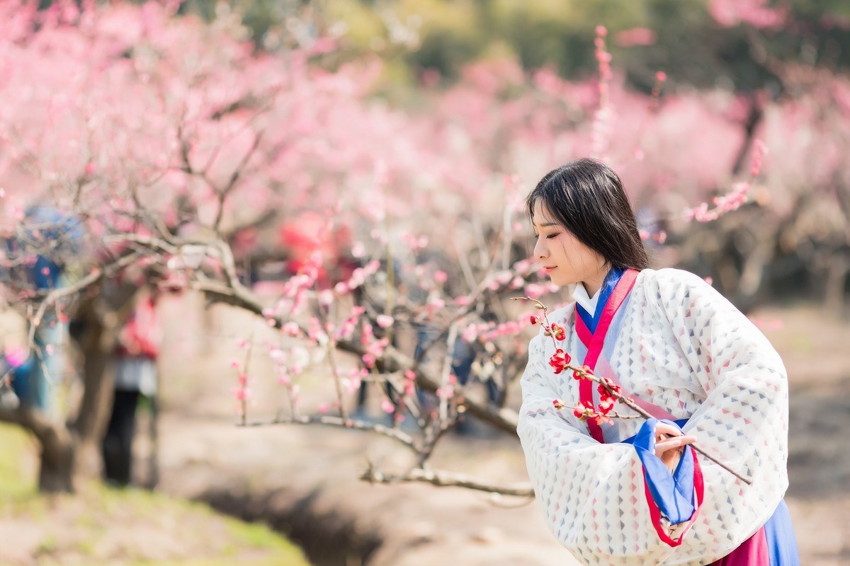 汉唐风   请指教