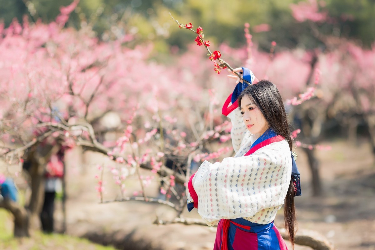 汉唐风   请指教