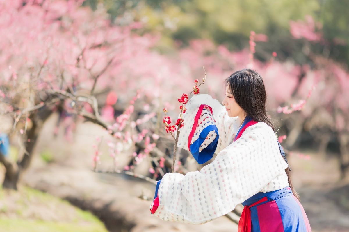 汉唐风   请指教