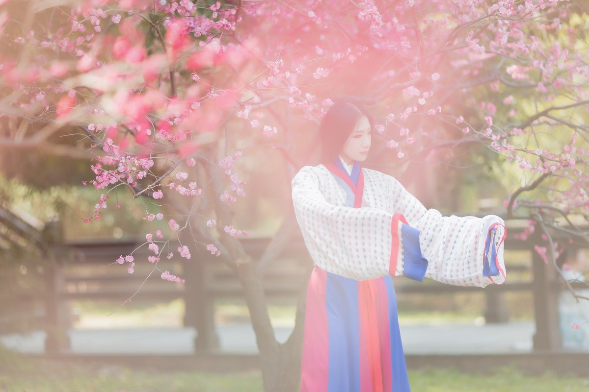 汉唐风   请指教