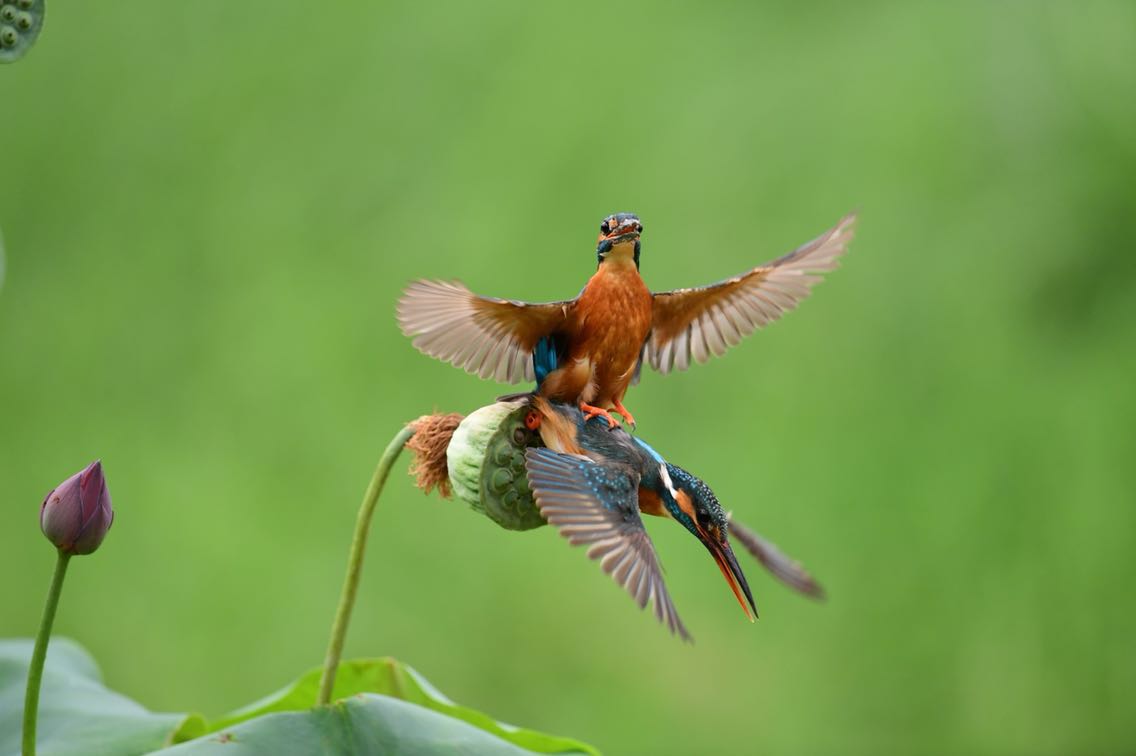 最近不忙什么总觉得一切都放慢了一一一