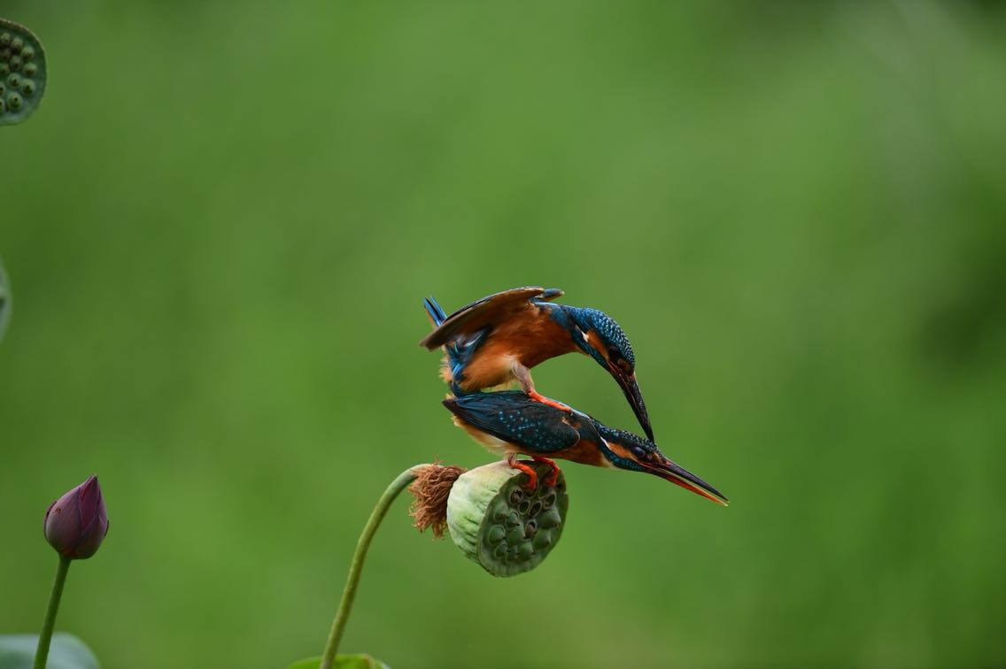 最近不忙什么总觉得一切都放慢了一一一