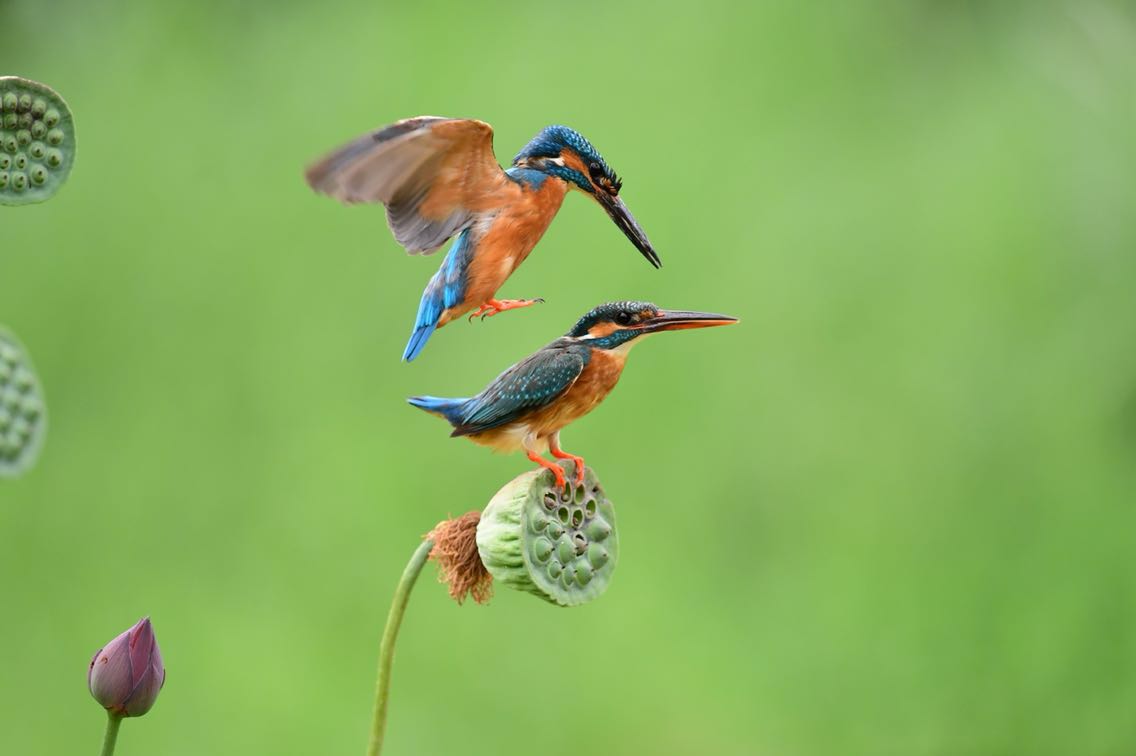 最近不忙什么总觉得一切都放慢了一一一