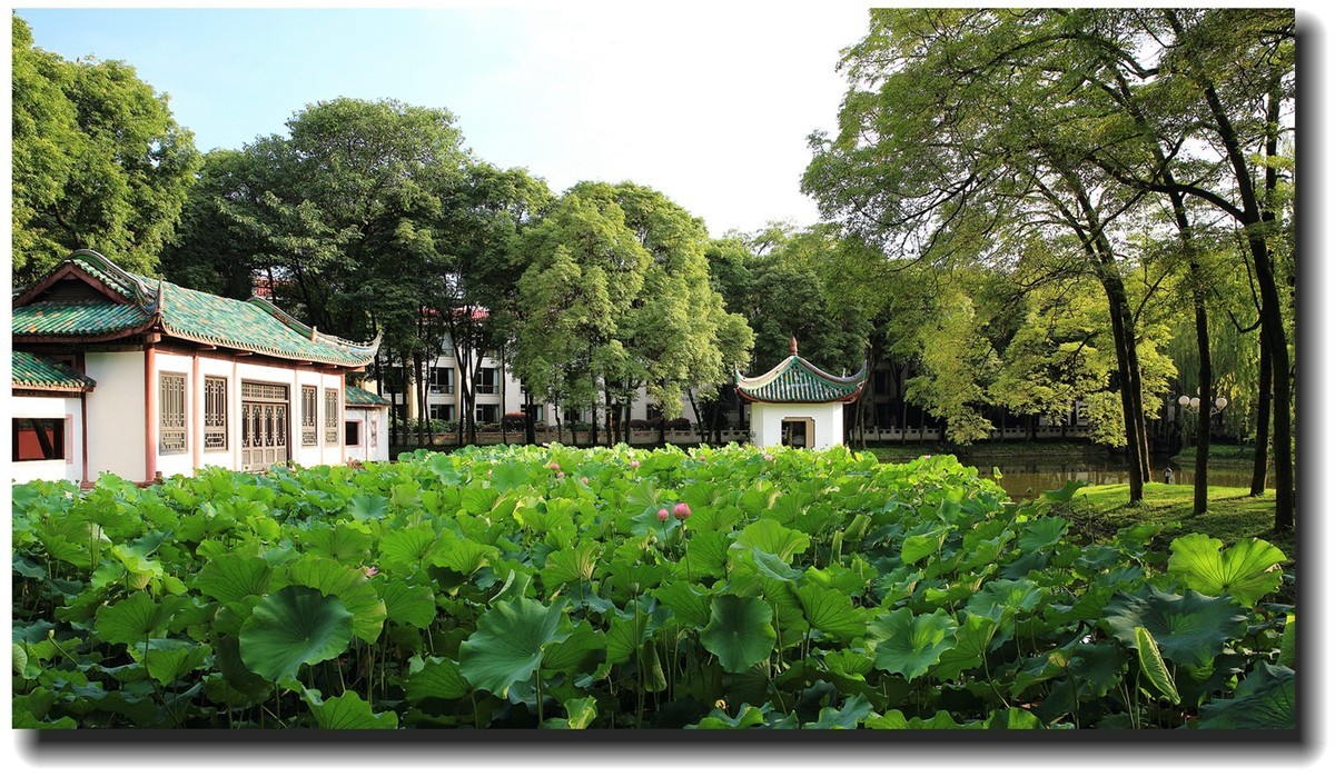 #佳能EOS M6-定格光影#_光与影的瞬间