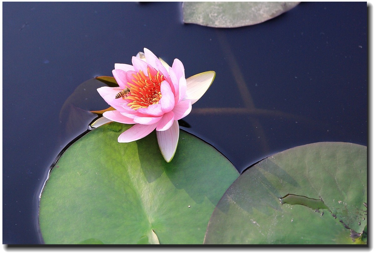 #佳能EOS M6-定格光影#_光与影的瞬间