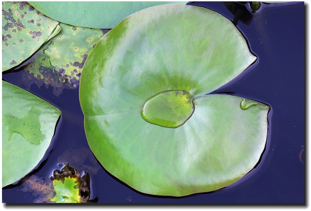 #佳能EOS M6-定格光影#_光与影的瞬间