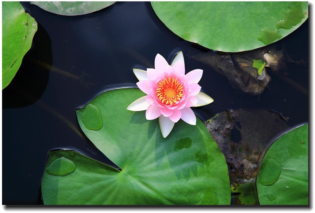 #佳能EOS M6-定格光影#_光与影的瞬间