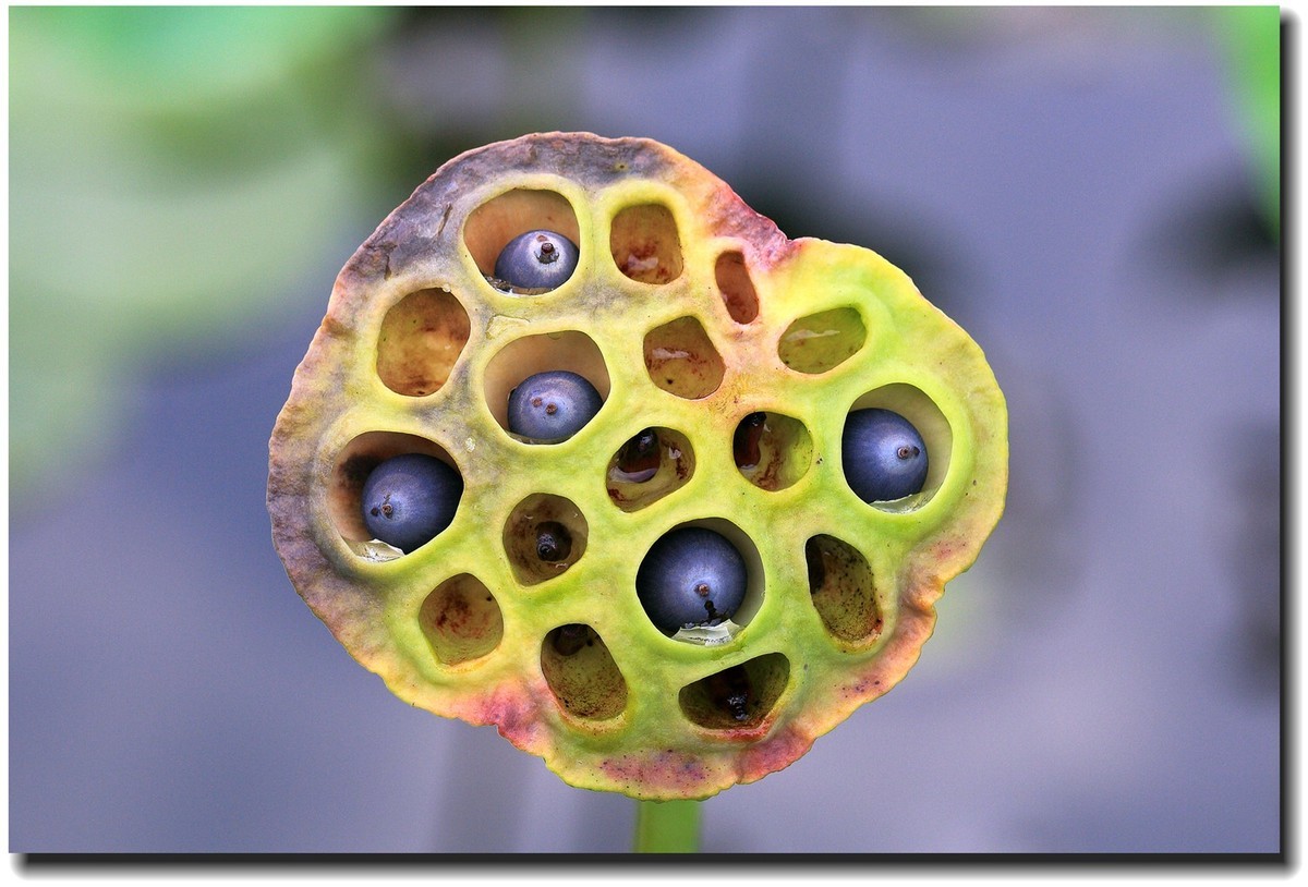 #佳能EOS M6-定格光影#_光与影的瞬间