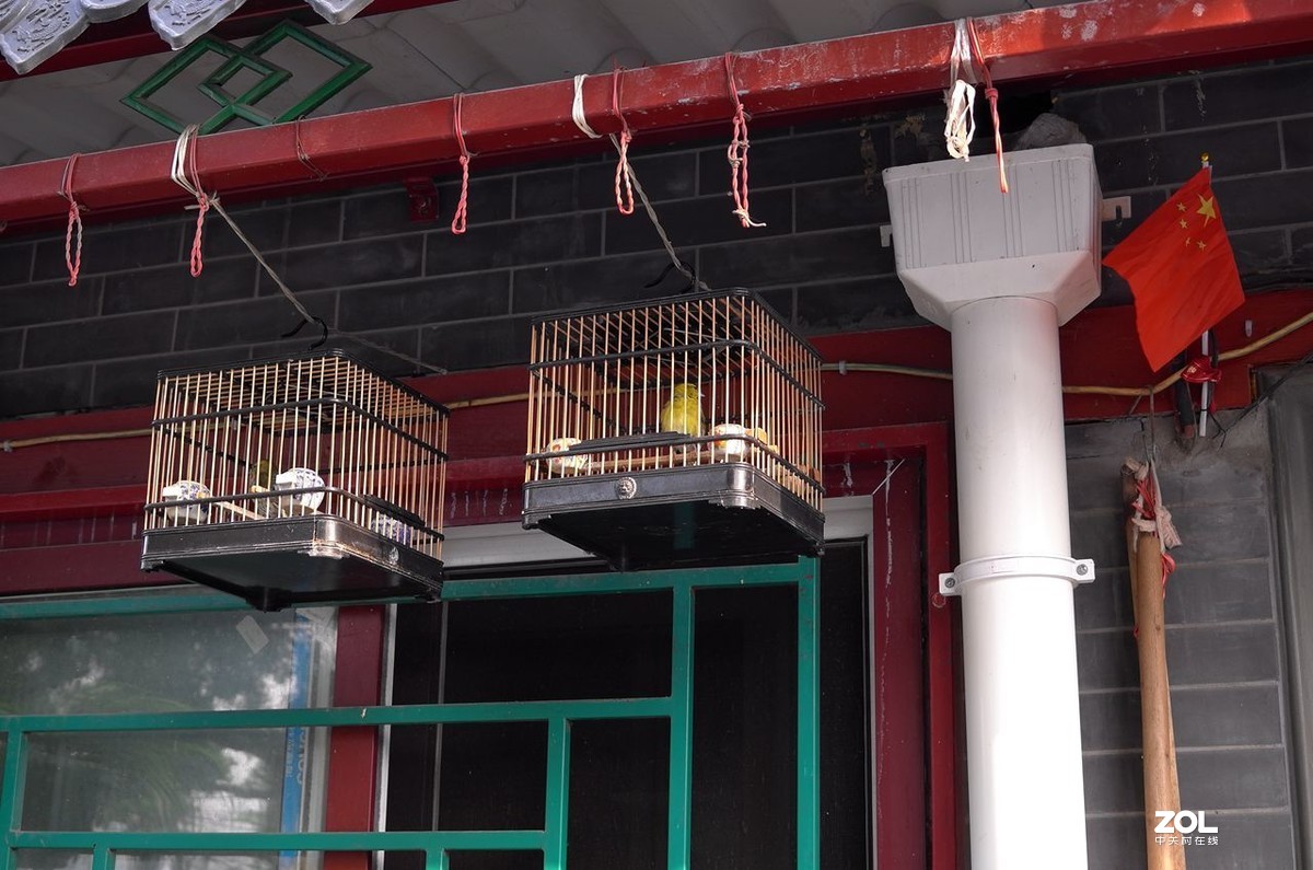 北京大爷的“小滋”生活