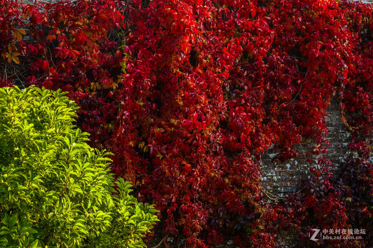 (西欧之行）5 约克明斯特大教堂 历史文明古都市 18世纪花园霍华德城堡