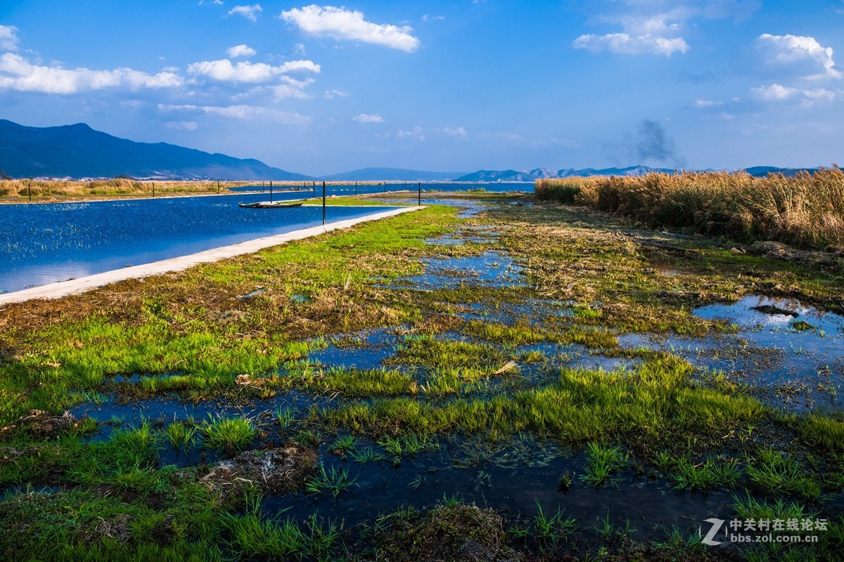 云南石屏异龙湖风光