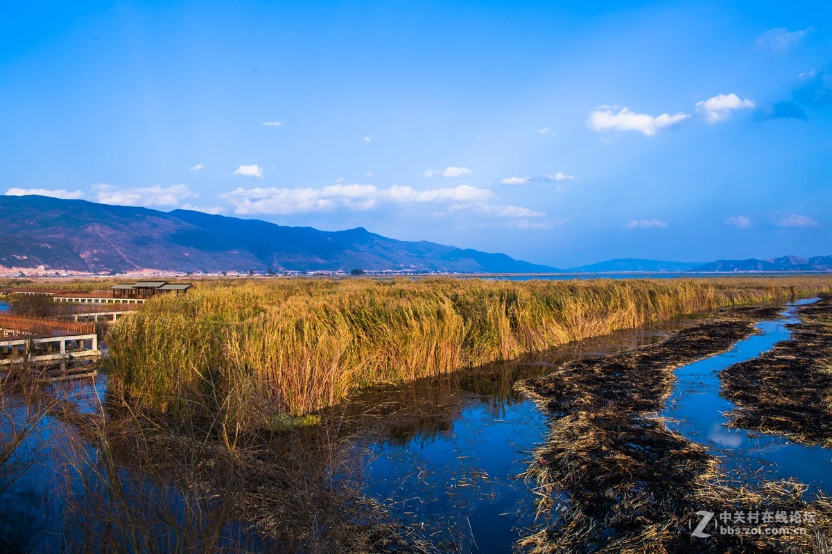 云南石屏异龙湖风光