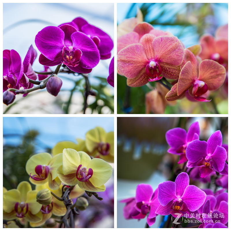 “五一”小长假第一天的牛角大圩 （合肥）