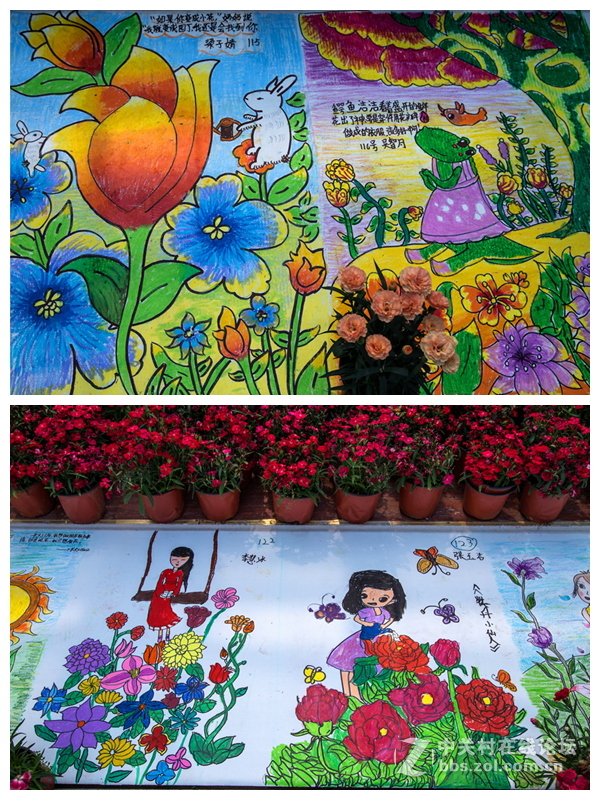 “五一”小长假第一天的牛角大圩 （合肥）