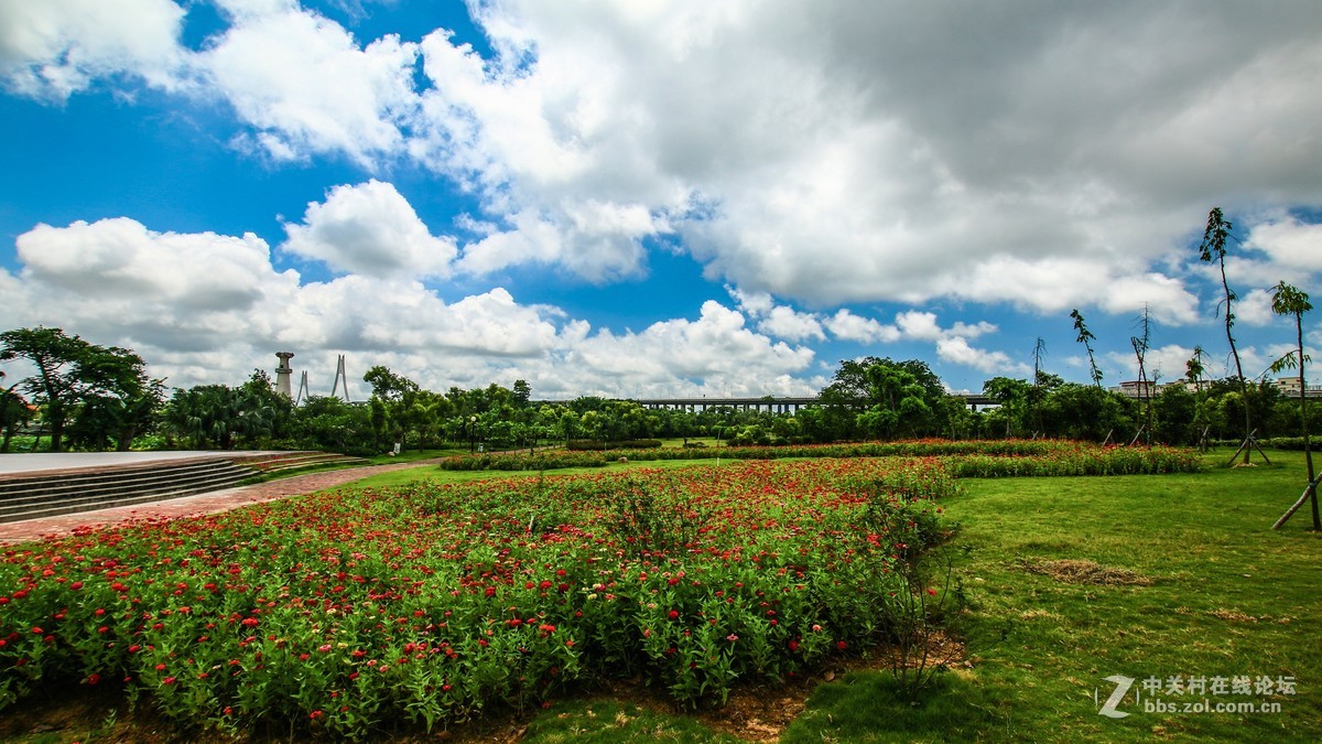 中澳友誼花園藍天白雲