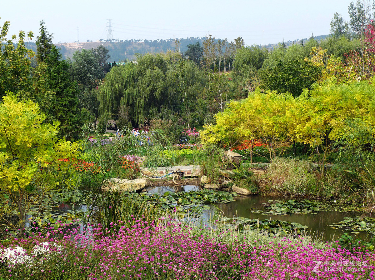 大連英歌石植物園秋韻上