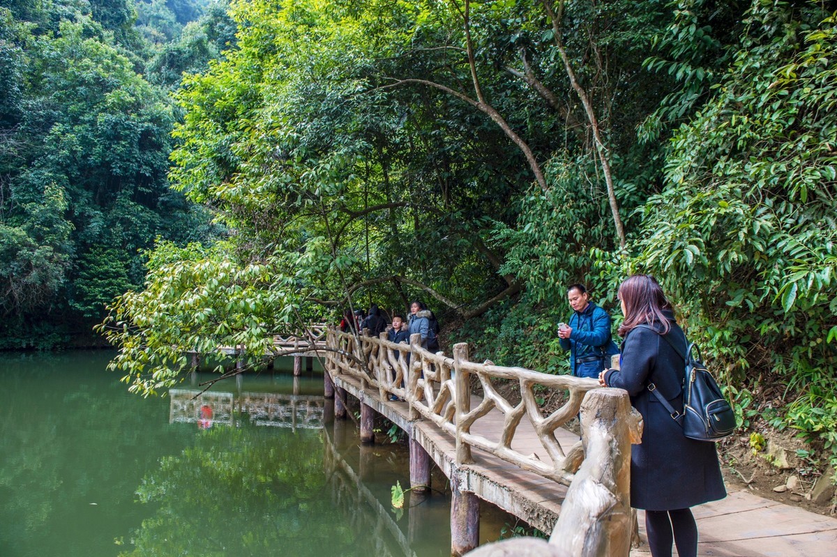 双龙沟原始森林风光游拍   续