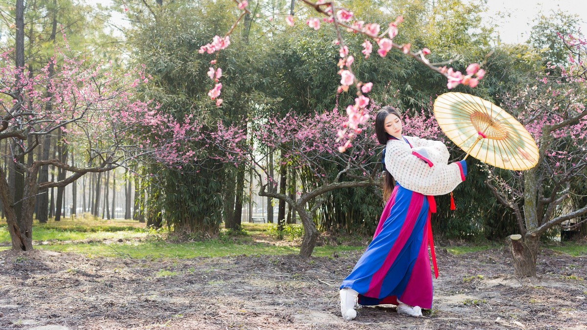 汉唐风   请指教