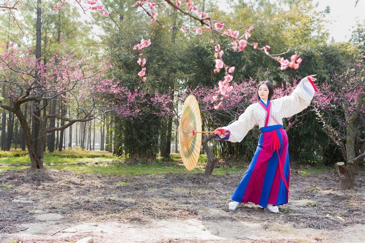 汉唐风   请指教