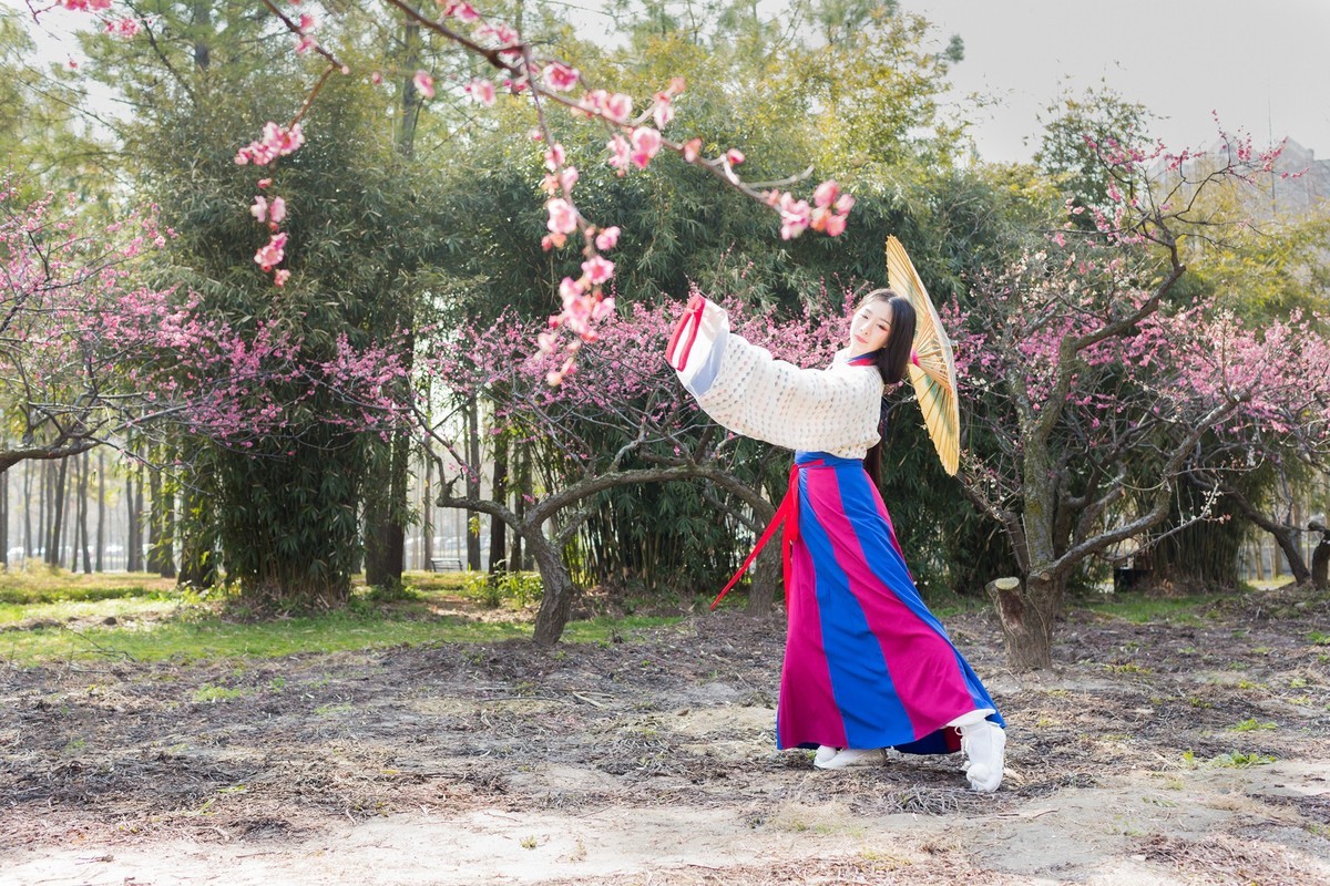 汉唐风   请指教