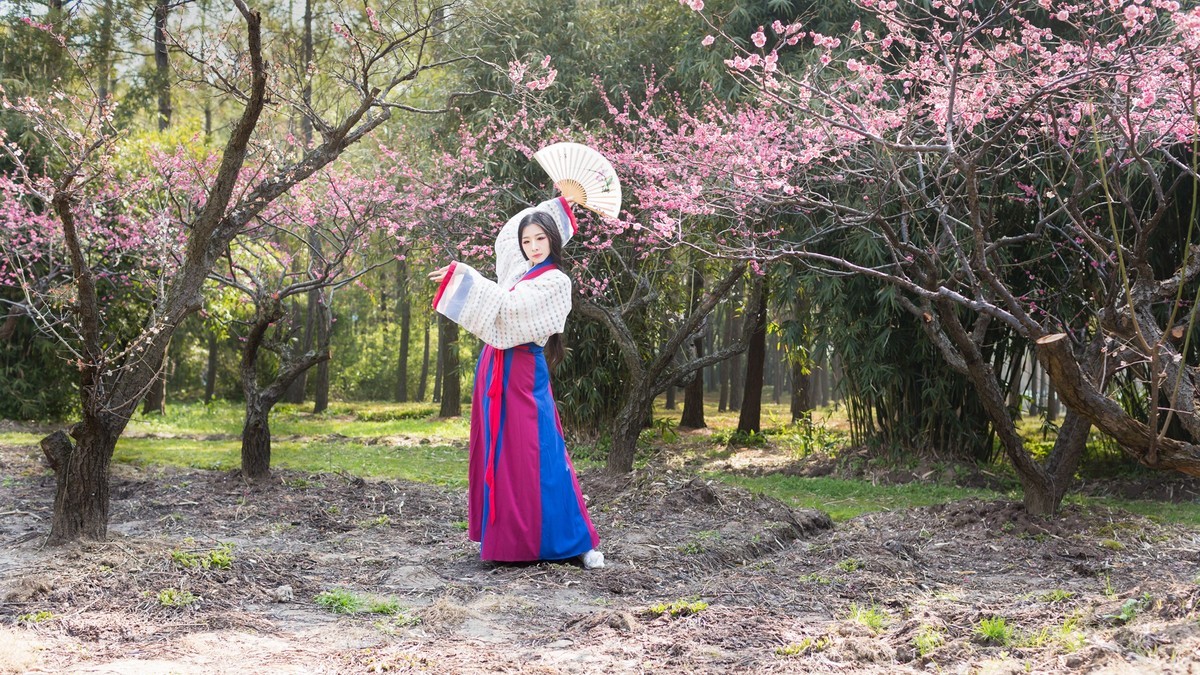 汉唐风   请指教