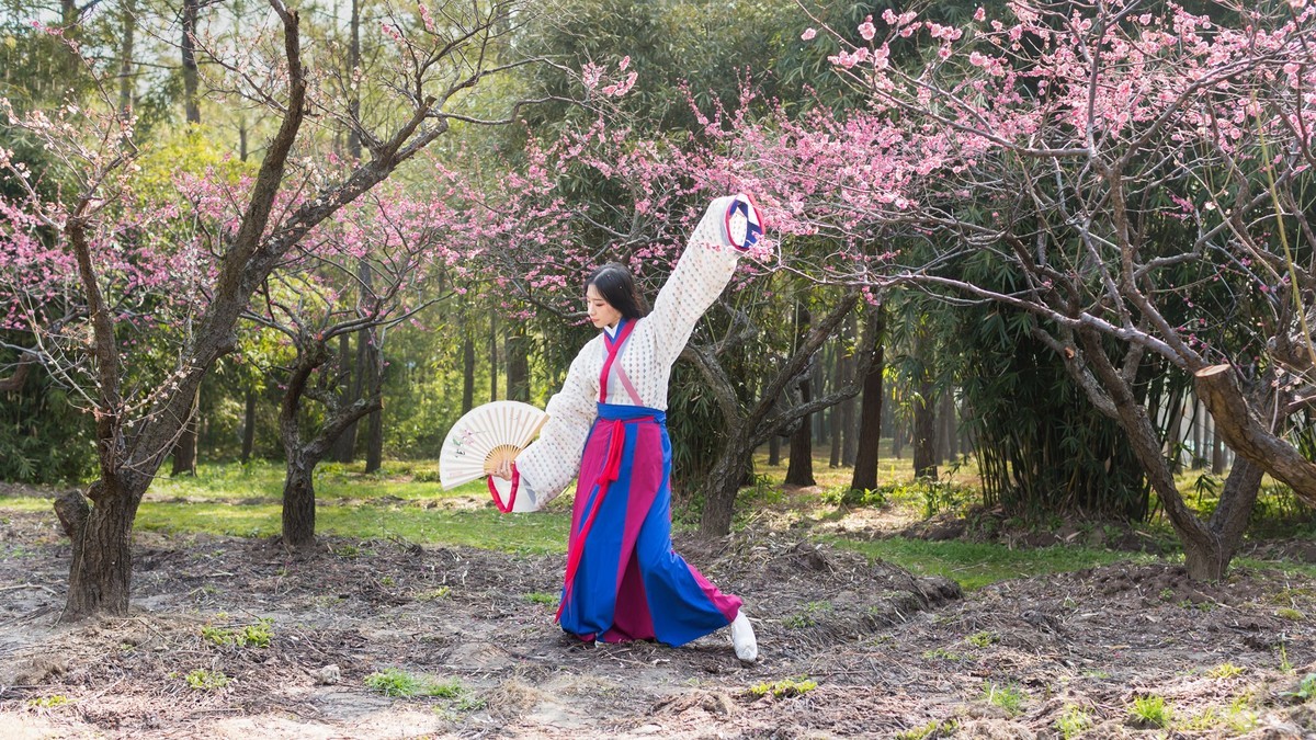 汉唐风   请指教