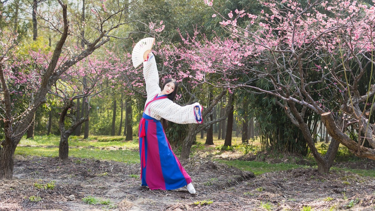 汉唐风   请指教