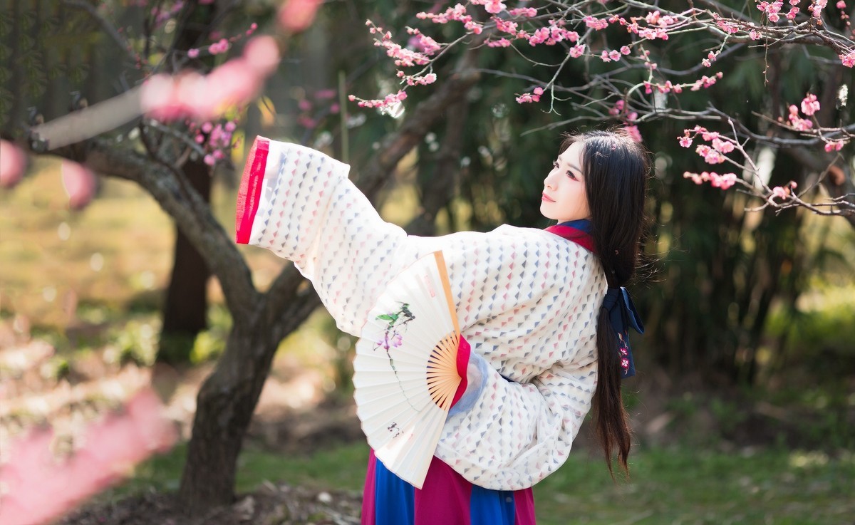 汉唐风   请指教