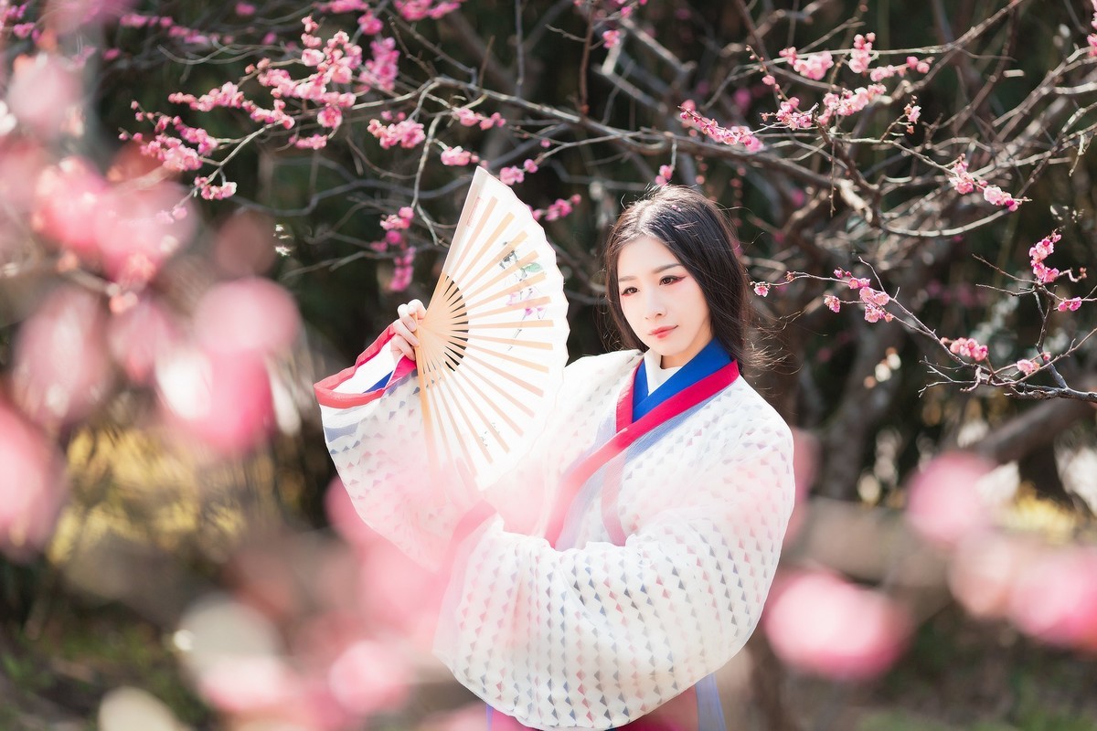 汉唐风   请指教